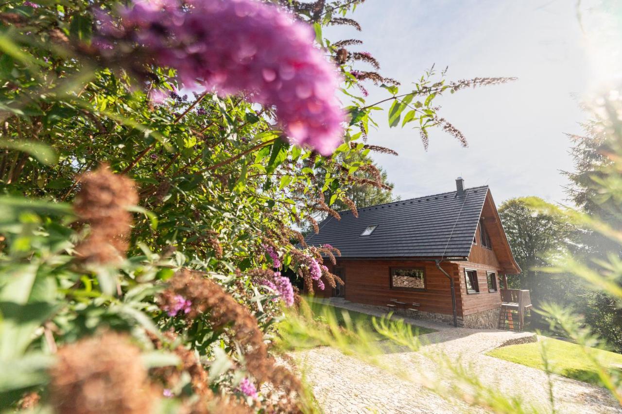 Moderni Sumavska Roubenka S Vyhledem Na Boubin Vila Vimperk Exterior foto